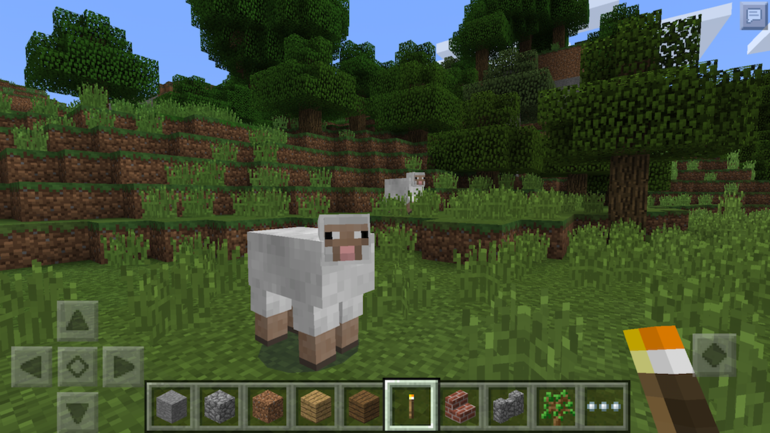 MINECRAFT: POCKET EDITION 