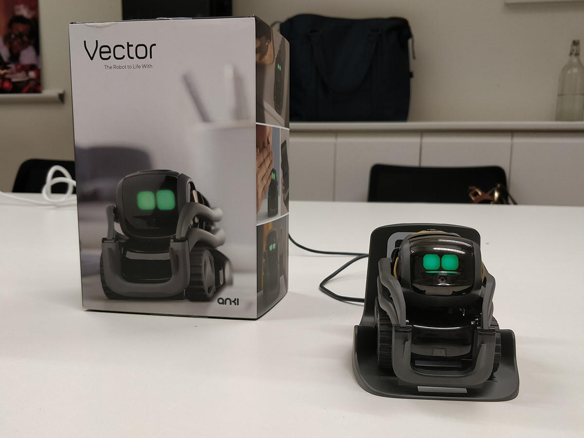 ANKI VECTOR INITIAL VERDICT