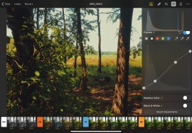 App of the week: Pixelmator Photo review