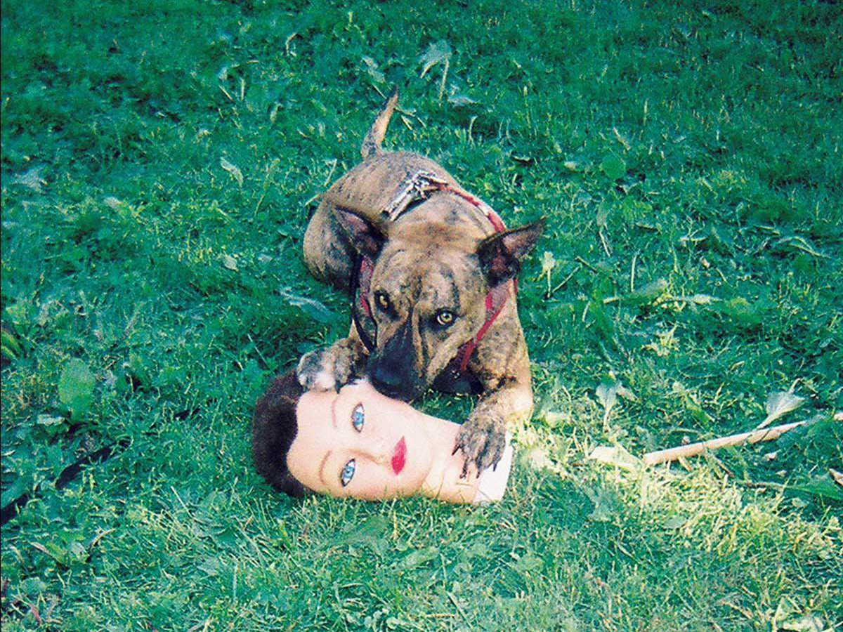 Listen: Joyce Manor - Cody