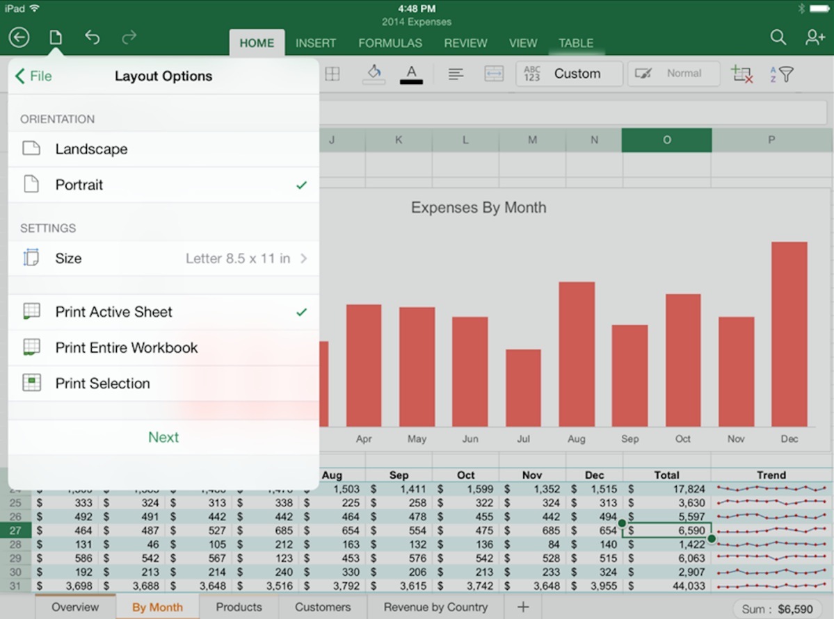 Microsoft Excel for iPad