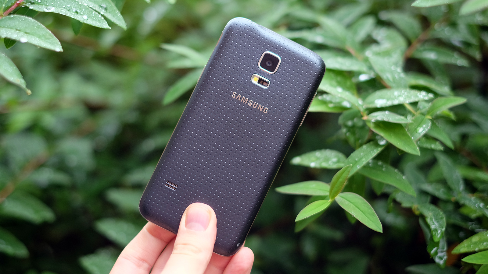 Samsung Galaxy S5 Mini review