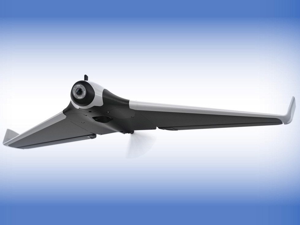 Parrot Disco