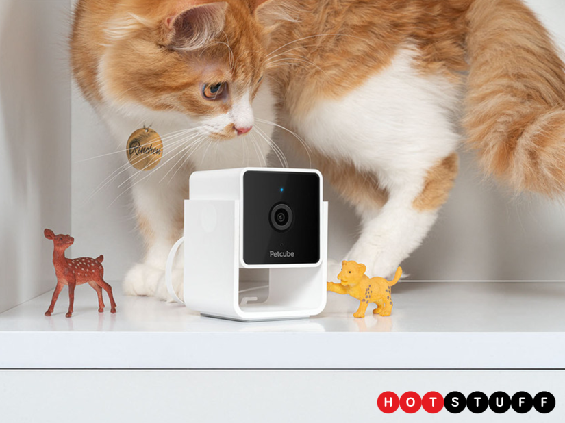 The Petcube Cam is a compact HD smart cam that’ll help you care for your furballs