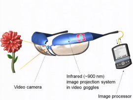 Next Big Thing – infrared bionic eyes