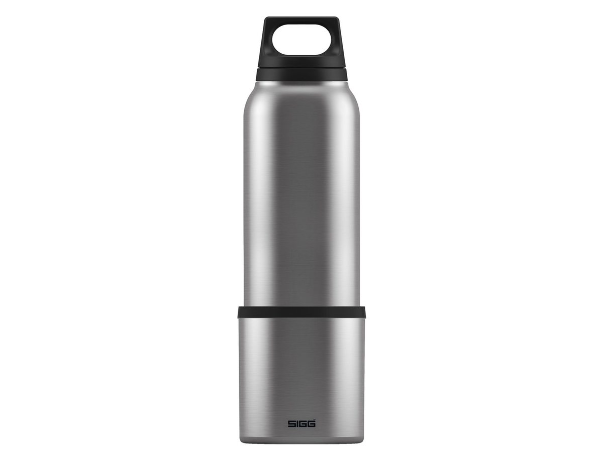 Sigg Hot & Cold Brushed Flask (€35)