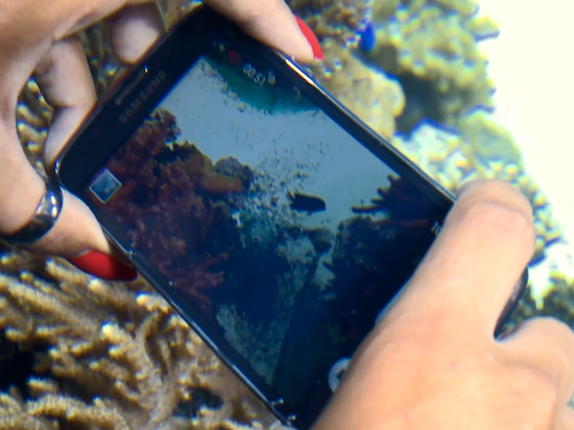 Video review: Samsung Galaxy S4 Active – more than just a waterproof Galaxy S4