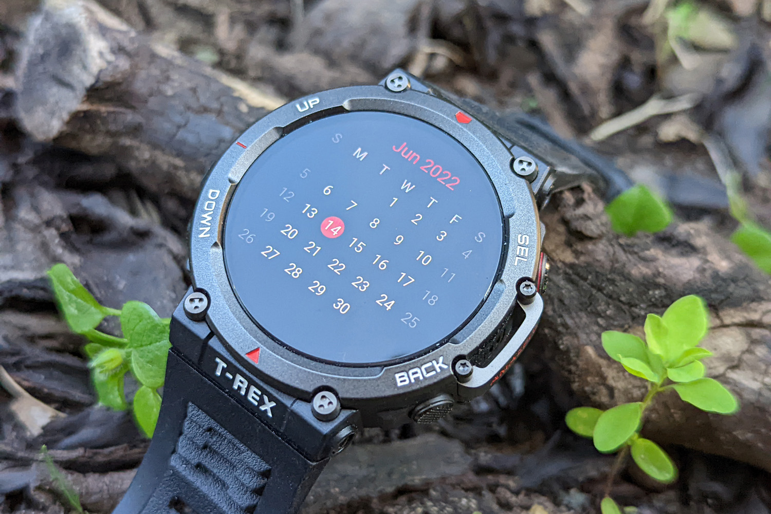 Stuff Amazfit T-Rex 2 review calendar