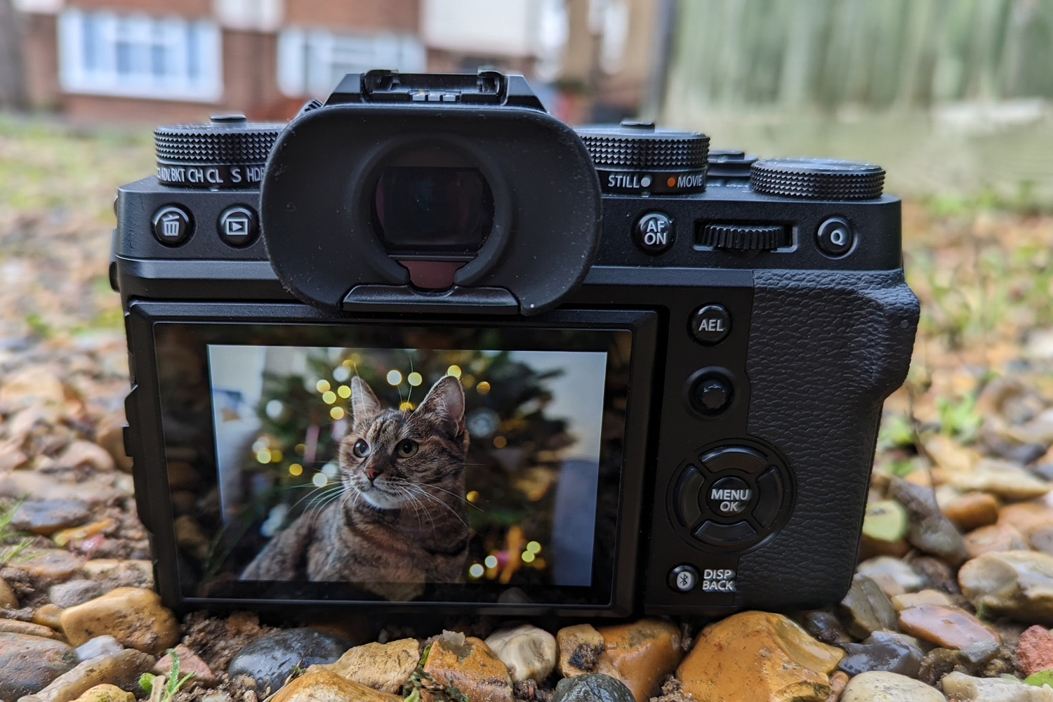 Fujifilm X-T5 review rear