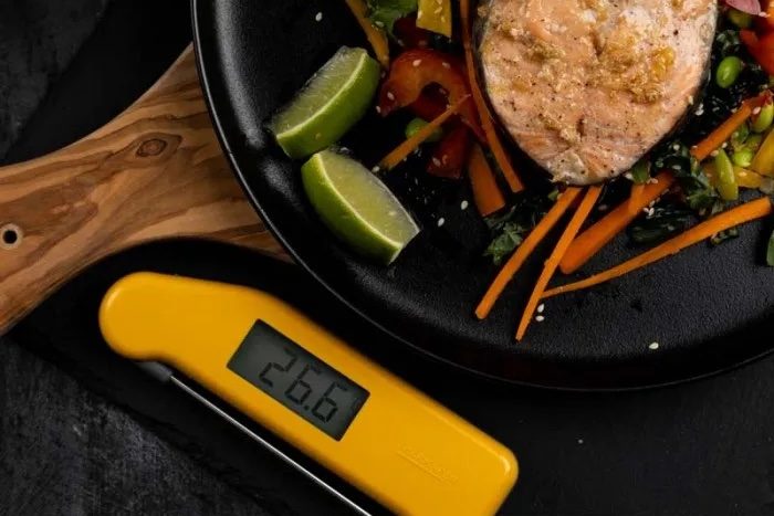 Thermapen Classic 