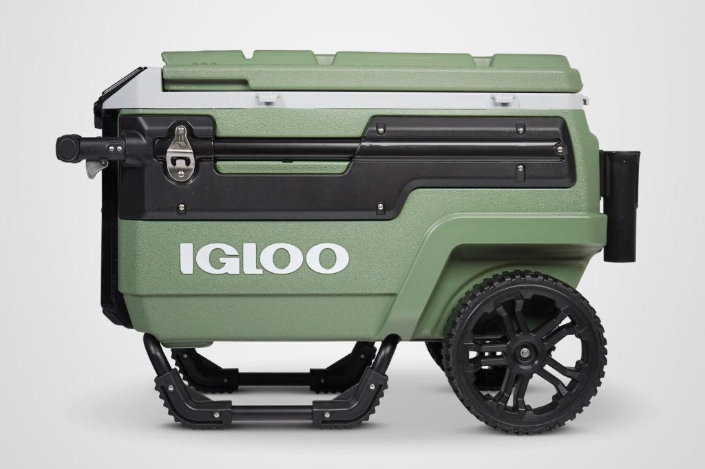 Best cooler bags: Igloo EcoCool