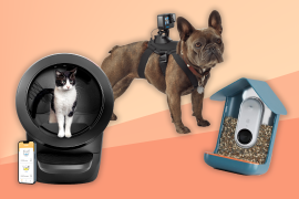 Christmas Gift Guide 2017: 22 gadget gift ideas for animal lovers