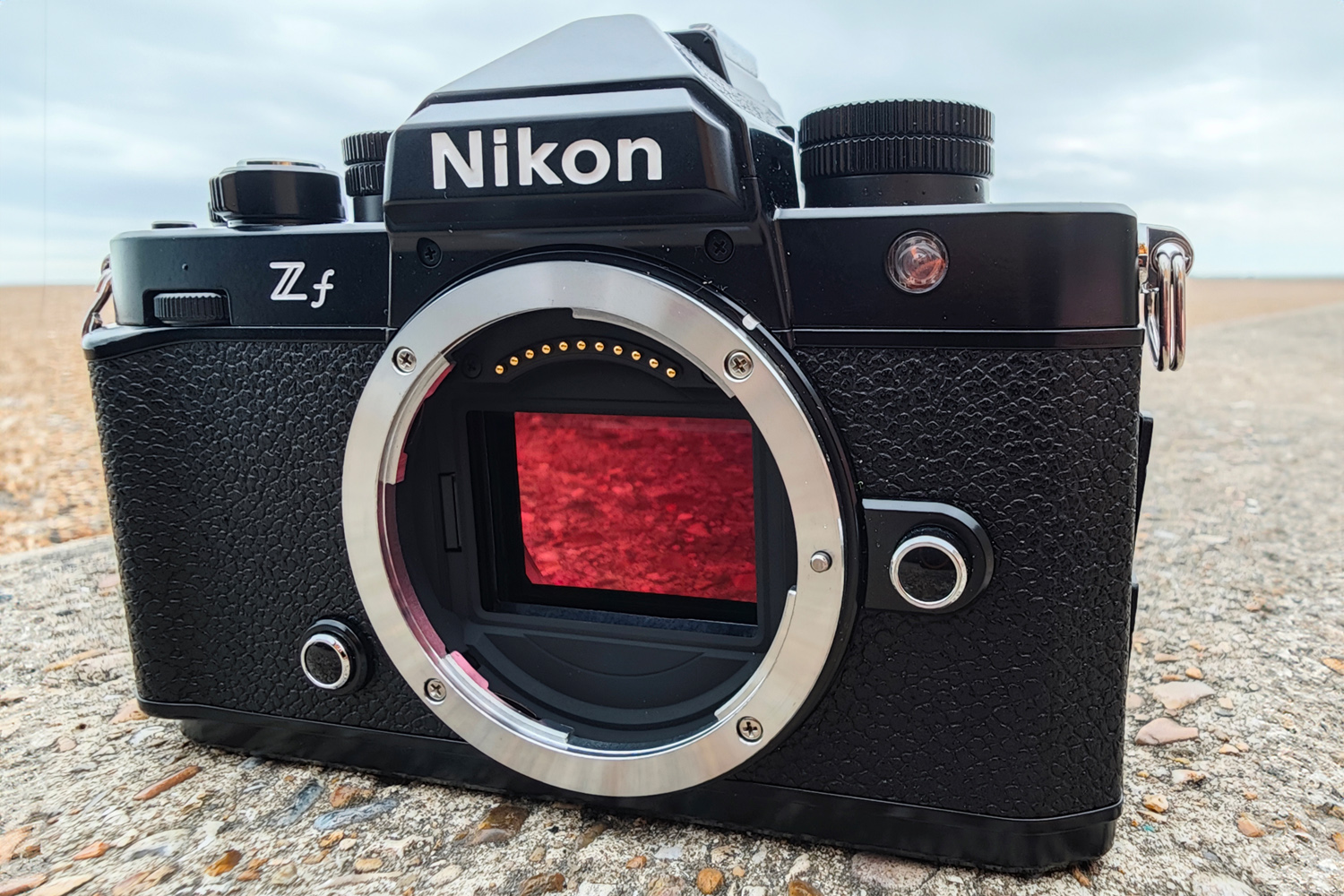 Nikon Zf review sensor